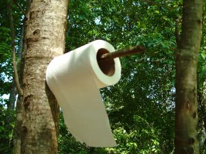 toilet_paper